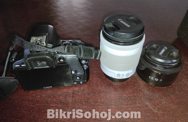 Canon 100D Eso Dslr Camera